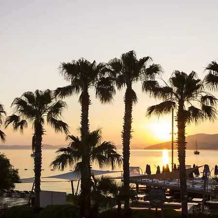 Torbahan Boutique & Club 3* Torba